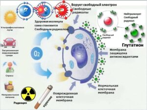 глутатион