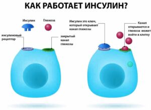 инсулин и сера