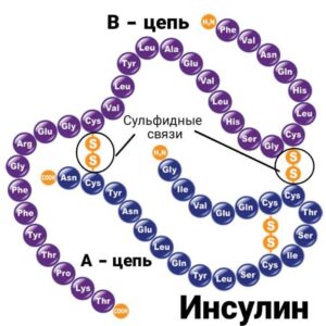 инсулин