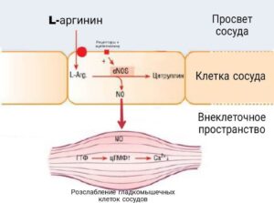 оксид азота