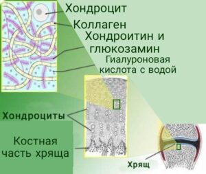 помощь суставам