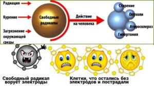 свободные радикалы